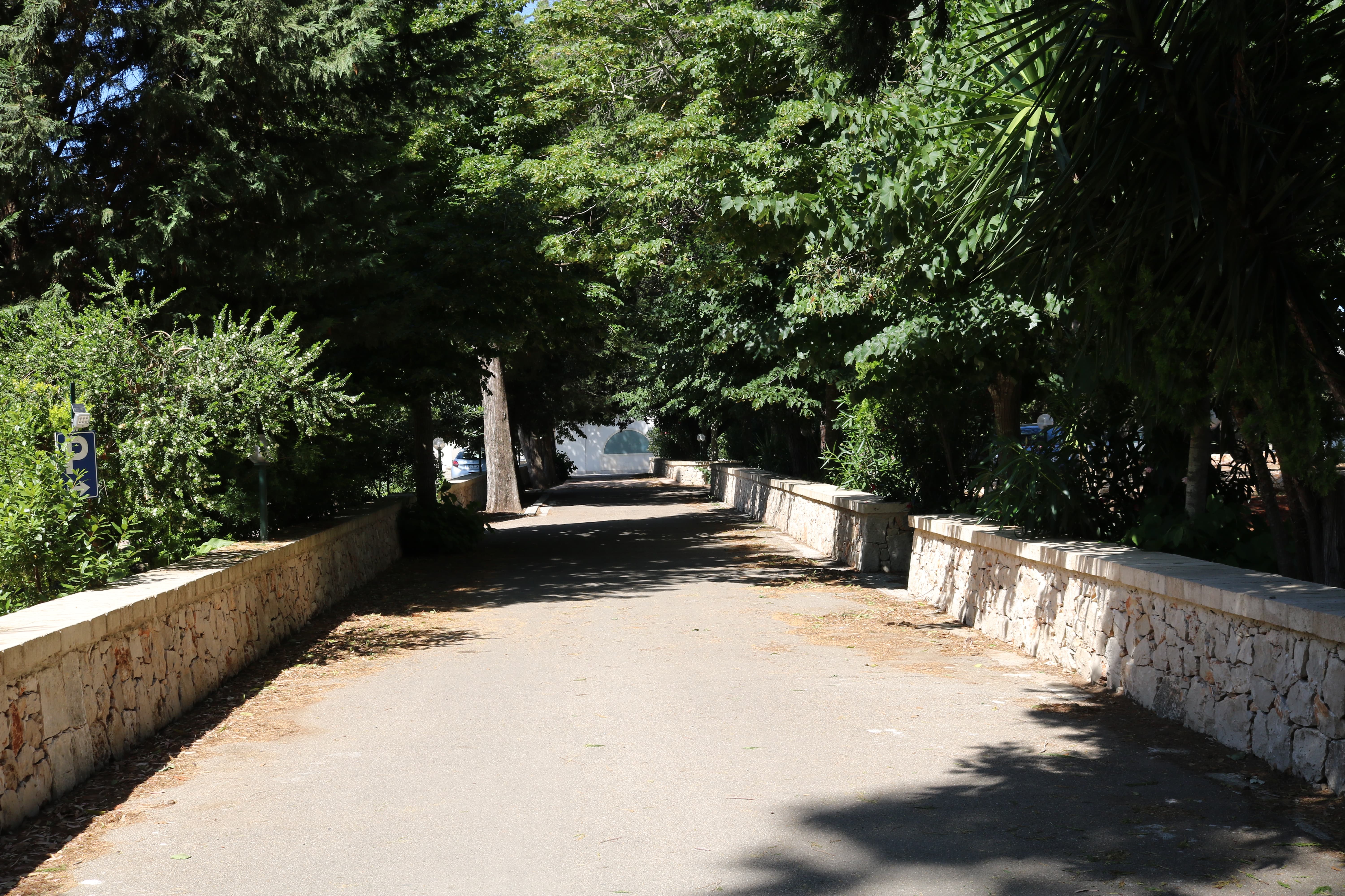 Foto del viale principale